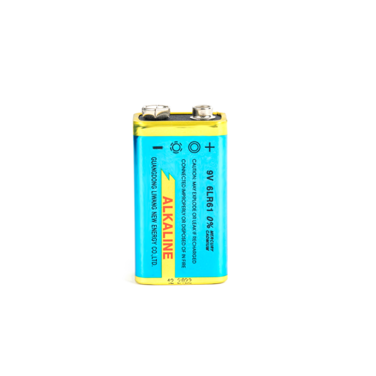 碱性9V电池   6LR61 9V