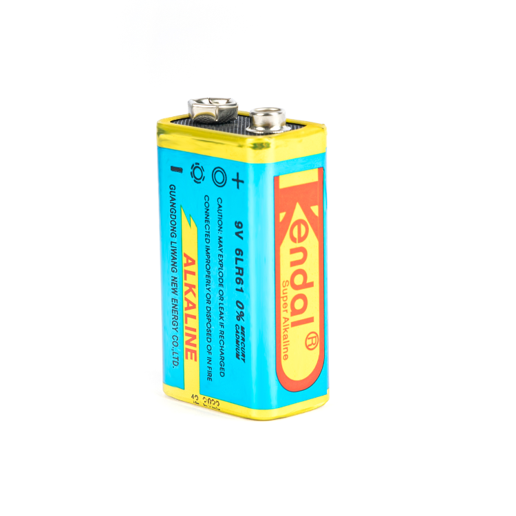 碱性9V电池   6LR61 9V